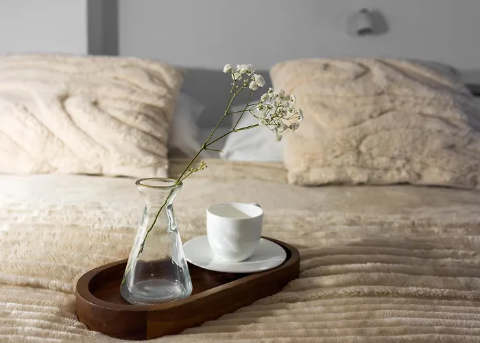 Solna Atelier كراكوفيا